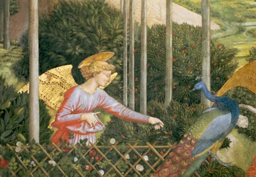 Engel, der einen Pfau füttert, Detail aus dem Zyklus der Reise der Heiligen Drei Könige in der Kapelle, ca. 1460 (Detail)